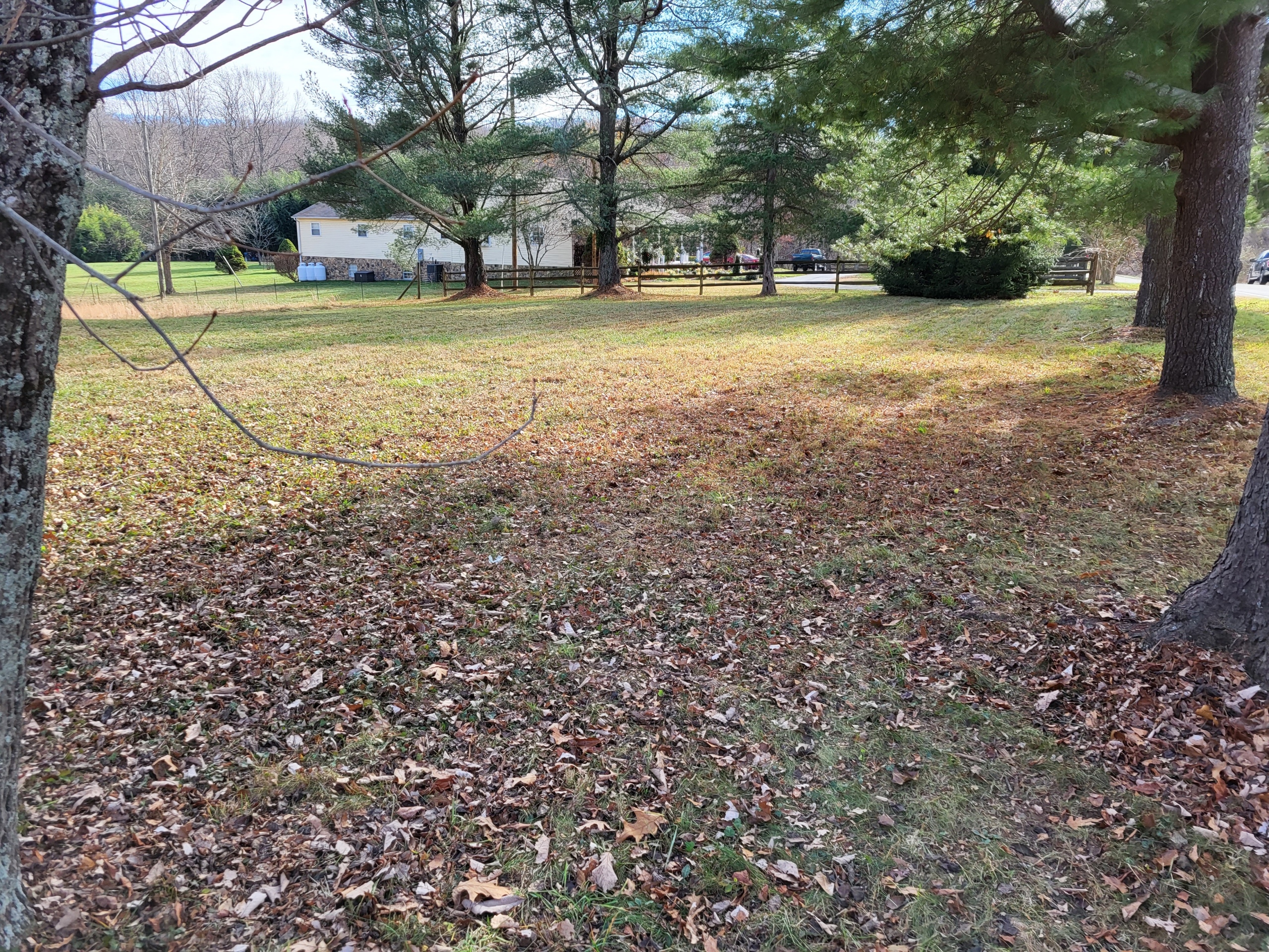 Professional yard cleanup and debris removal